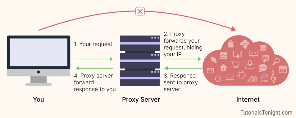 How to use proxy with Python requests